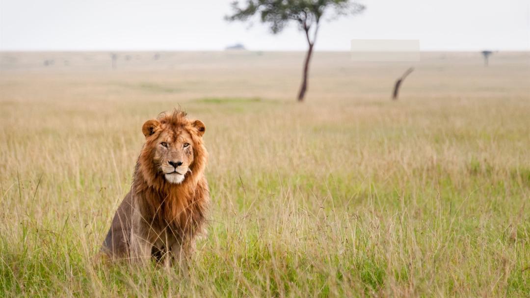 Best travel guide for 10 days Tanzania Zanzibar beach holidays